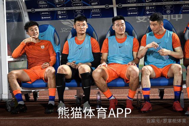 熊猫体育APP公司简介